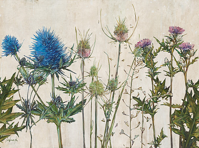 Фотообои TERRA 2, FLORA, Factura Фотообои TERRA 2, FLORA, Factura