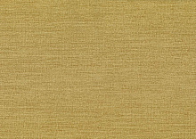 Жёлтые обои для зала AltaGamma Fibers 1VZ 25863
