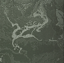 Зелёные обои в прихожую Bernardo Bartalucci Gaga  84282-29