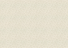 Rasch Novella 983135